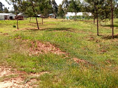 50x100 Plots Near Tarmac in Nyandarua County - Image 2