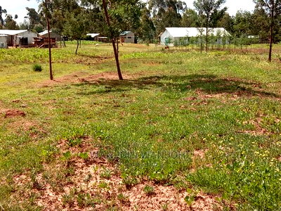 50x100 Plots Near Tarmac in Nyandarua County - Image 1