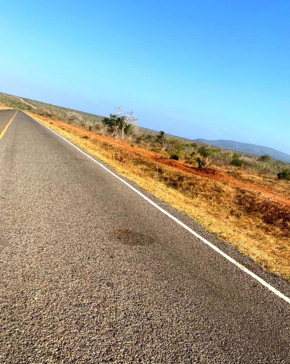1/8 Acre Plot with Garden at KSh 120K