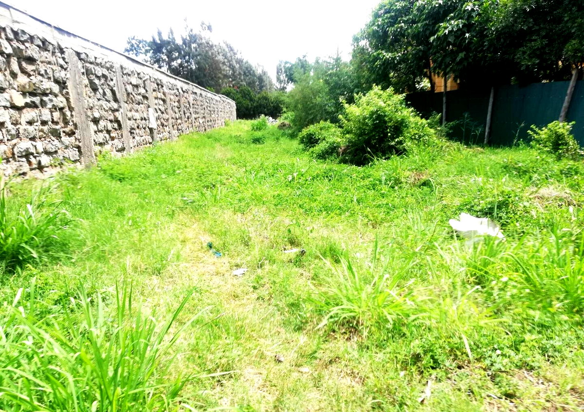 Garden Estate's 1/2 Acre Gem for KSh 33.5M