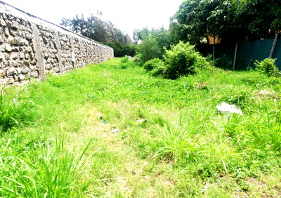 Garden Estate's 1/2 Acre Gem for KSh 33.5M
