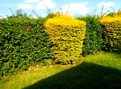 3bdrm Bungalow In Green Park Estate, Lukenya For Sale - Image 6