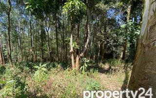 1-Acre Kitisuru Plot at KSh 125M