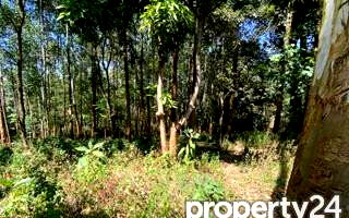 1-Acre Kitisuru Plot at KSh 125M