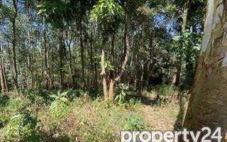 1-Acre Kitisuru Plot at KSh 125M