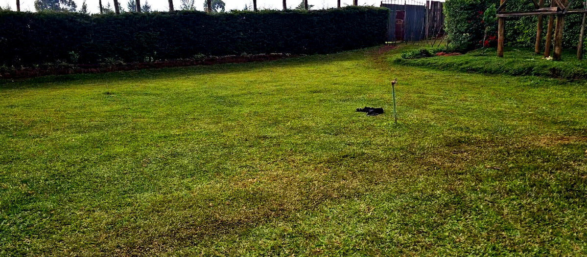 3-Bed Bungalow on 1.6 Acres with River Frontage - Kapseret, Eldoret