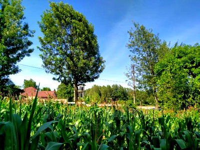 Half Acre Plot in Ngong Behind ACK Church - Image 1