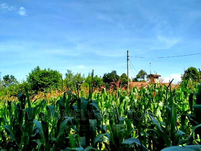 Half Acre Plot in Ngong Behind ACK Church - Image 3