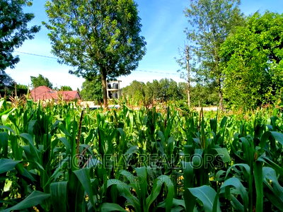 Half Acre Plot in Ngong Behind ACK Church - Image 5