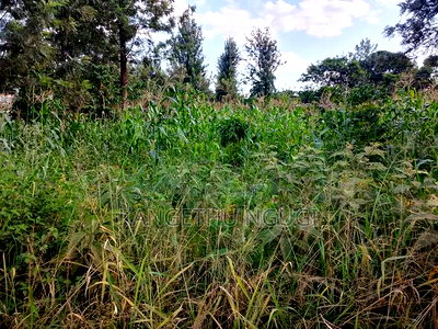 Quarter Acre Residential Plot Mugumo Estate, Kiambu - Image 3