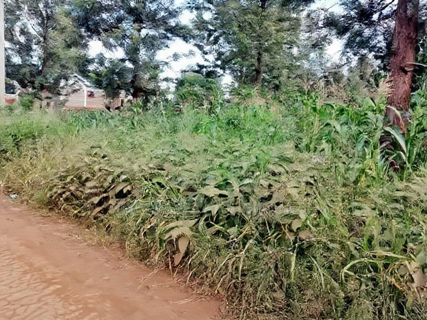 Quarter Acre Residential Plot Mugumo Estate, Kiambu