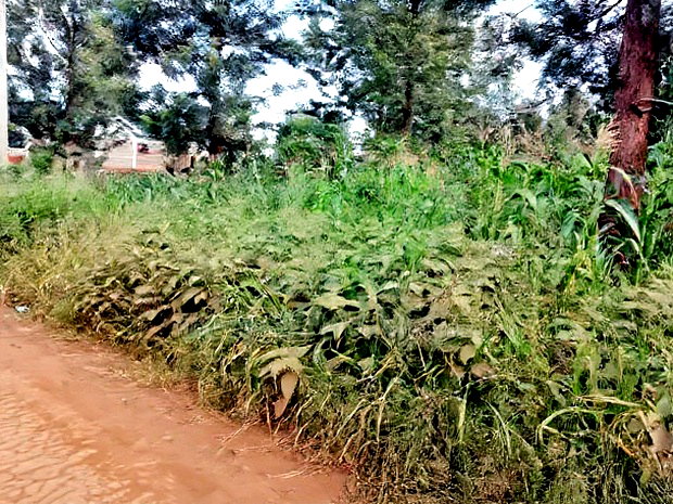 Quarter Acre Residential Plot Mugumo Estate, Kiambu