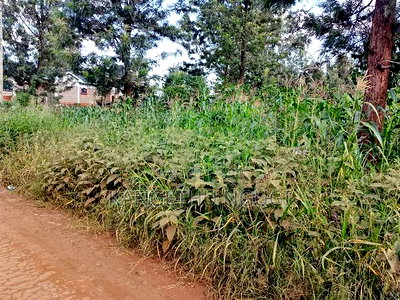 Quarter Acre Residential Plot Mugumo Estate, Kiambu - Image 4