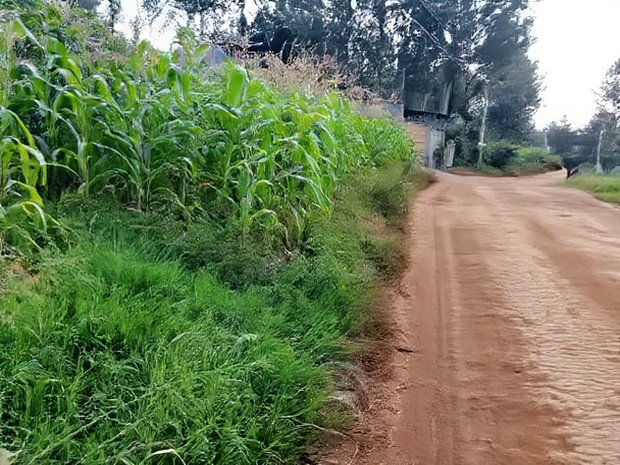Quarter Acre Residential Plot Mugumo Estate, Kiambu
