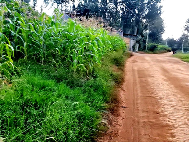 Quarter Acre Residential Plot Mugumo Estate, Kiambu