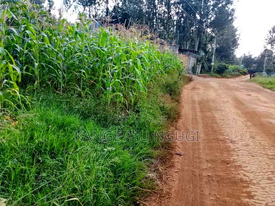 Quarter Acre Residential Plot Mugumo Estate, Kiambu - Image 2