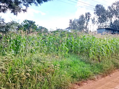 Quarter Acre Residential Plot Mugumo Estate, Kiambu - Image 1
