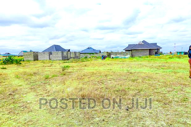 Murera Plots