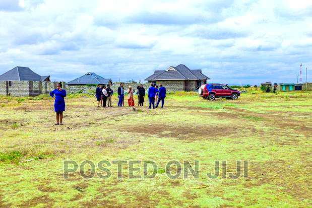 Murera Plots