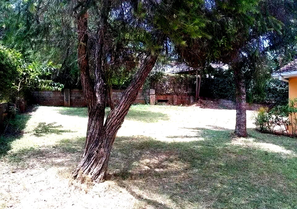 Spacious 4BR Garden Home at KSh 185K