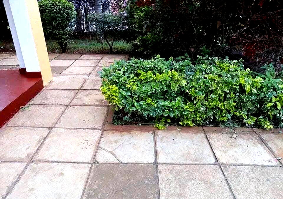 Spacious 4BR Garden Home at KSh 185K