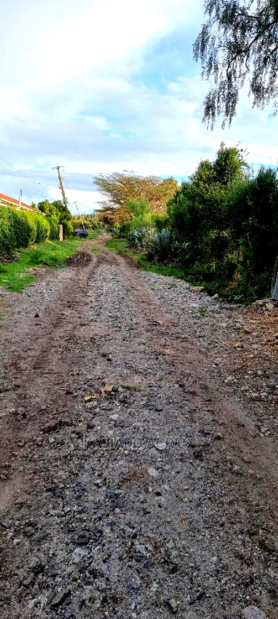 1/8 of an Acres Olesoso at 1.6m - Image 4