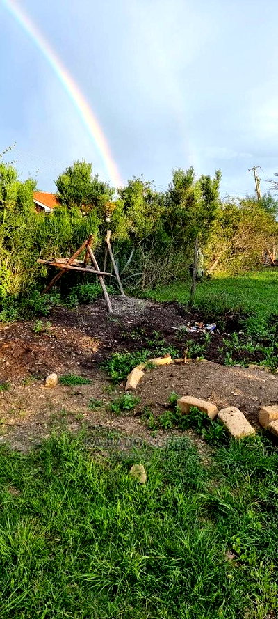 1/8 of an Acres Olesoso at 1.6m - Image 1