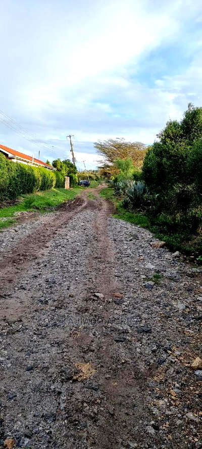 1/8 of an Acres Olesoso at 1.6m - Image 5