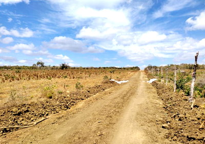 8.6-Acre Garden Land with Ocean Views - Malindi