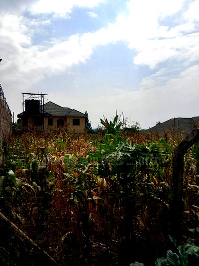 100 by 60 for Sale at Kiamumbi - Image 4