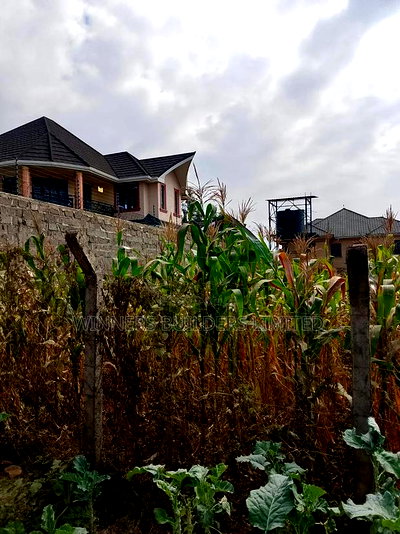 100 by 60 for Sale at Kiamumbi - Image 10