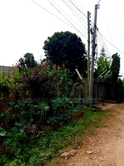 100 by 60 for Sale at Kiamumbi - Image 11