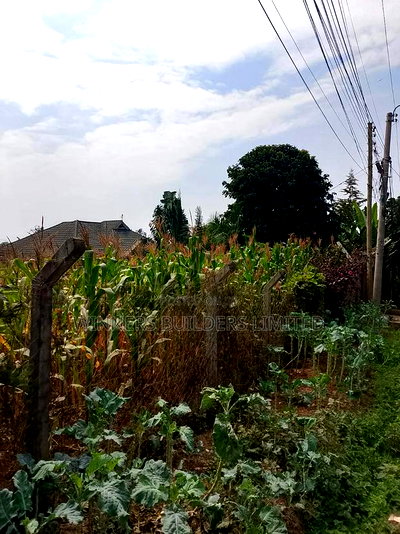 100 by 60 for Sale at Kiamumbi - Image 6