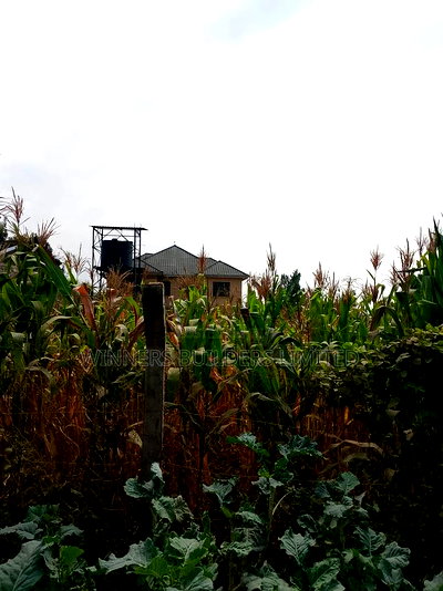 100 by 60 for Sale at Kiamumbi - Image 12