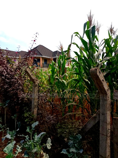 100 by 60 for Sale at Kiamumbi - Image 9