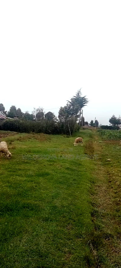 Land on Sale at Kinangop - Image 6