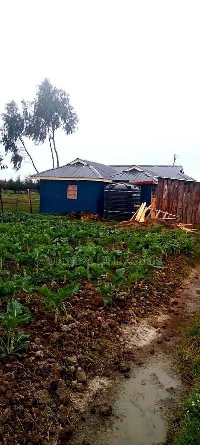 Land on Sale at Kinangop - Image 4