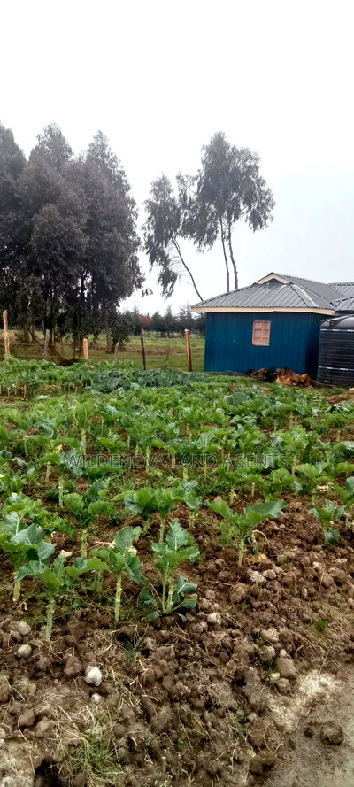 Land on Sale at Kinangop - Image 5