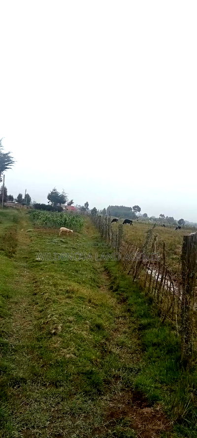 Land on Sale at Kinangop - Image 3