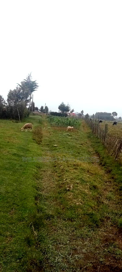 Land on Sale at Kinangop - Image 7