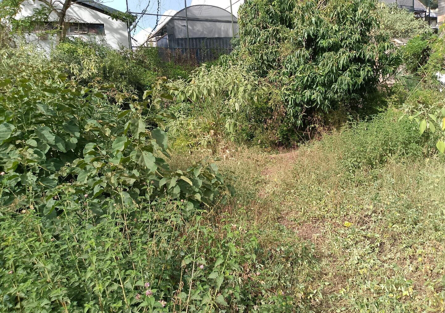 KSh 450M Garden Plot in Kileleshwa