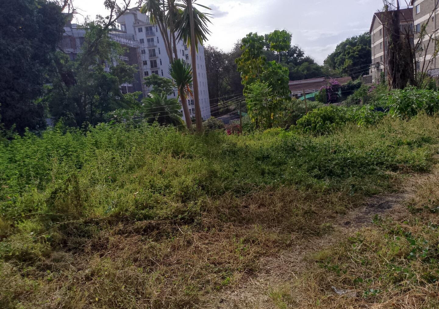 KSh 450M Garden Plot in Kileleshwa