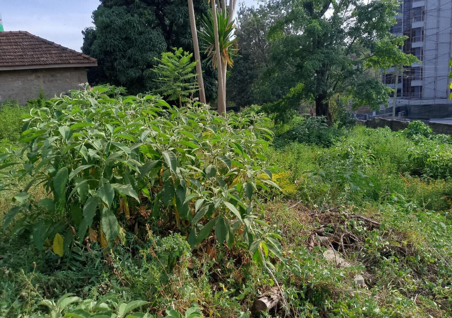 KSh 450M Garden Plot in Kileleshwa