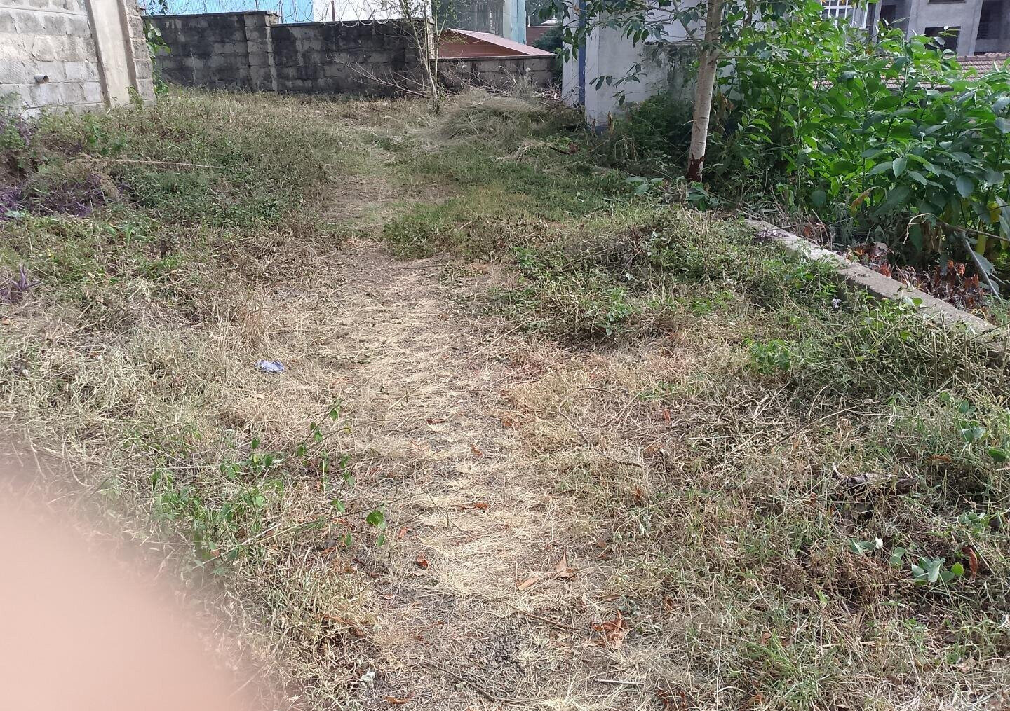 KSh 450M Garden Plot in Kileleshwa