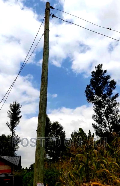 Kenyatta Road Plots- Kimunyu - Image 2