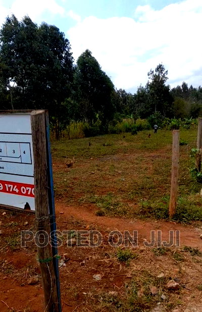 Kenyatta Road Plots- Kimunyu - Image 4