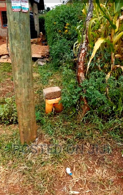 Kenyatta Road Plots- Kimunyu - Image 3