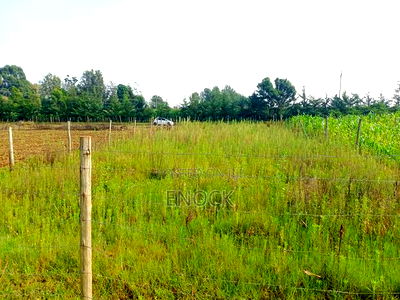 Prime 1/8acre Touching Tarmac in Ilula Muyengwet - Image 3