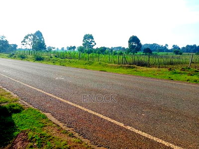 Prime 1/8acre Touching Tarmac in Ilula Muyengwet - Image 1