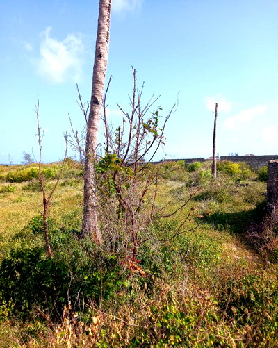 10-Acre Watamu Gem for KSh 150M